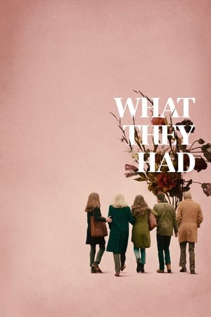 What They Had (2018) Hindi Dual Audio [900MB] HD Poster Download - filmyfly