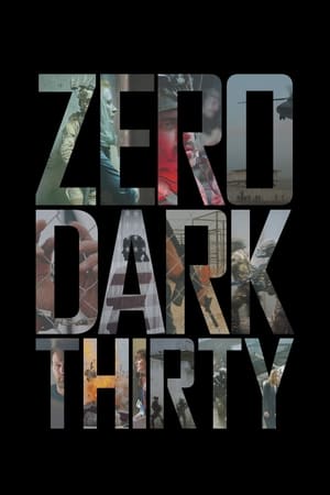 Zero Dark Thirty 2012 Hindi Dual Audio [1.2GB] HD Poster Download - filmyfly